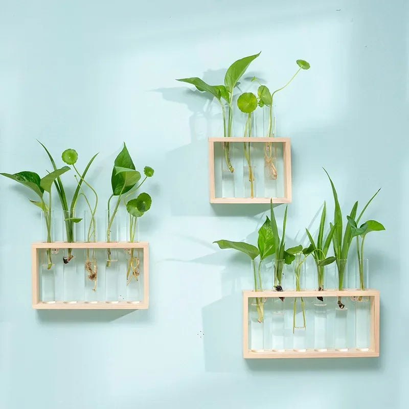 Minimalist Nordic Test Tube Glass Vase Decoration Creative Wooden Frame Hydroponic Plant Container Home Decoration Plant Shelf