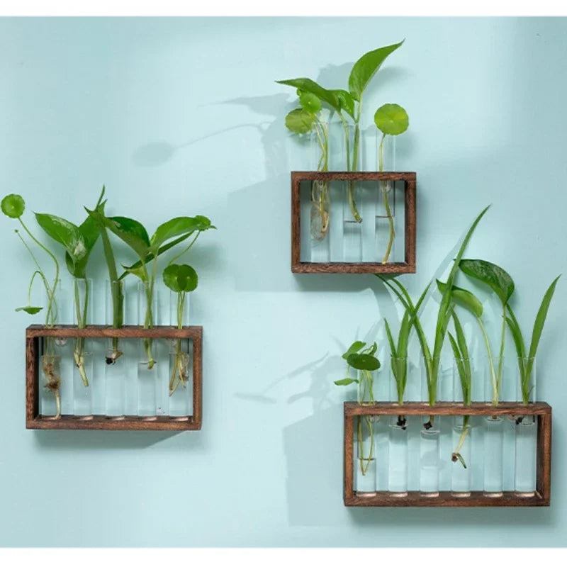 Minimalist Nordic Test Tube Glass Vase Decoration Creative Wooden Frame Hydroponic Plant Container Home Decoration Plant Shelf