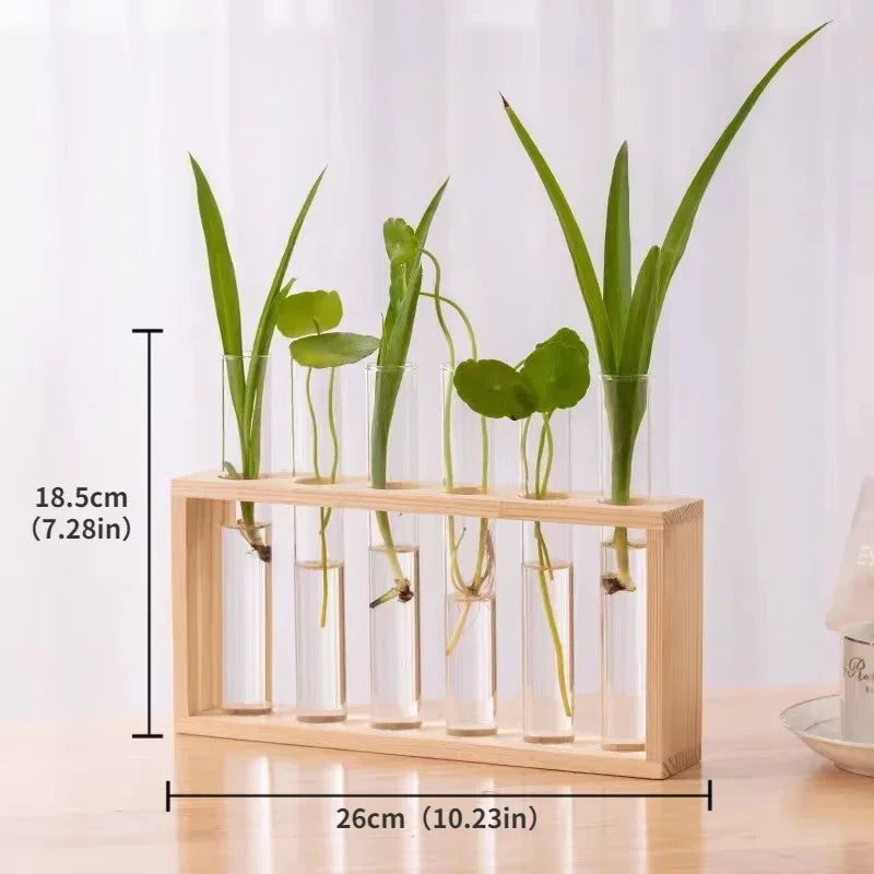 Minimalist Nordic Test Tube Glass Vase Decoration Creative Wooden Frame Hydroponic Plant Container Home Decoration Plant Shelf