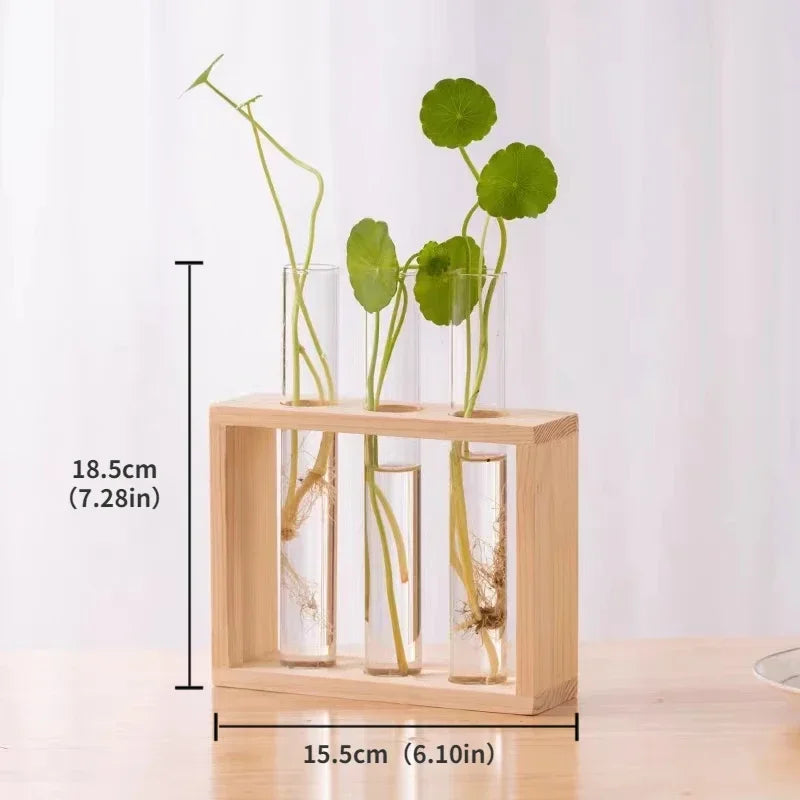 Minimalist Nordic Test Tube Glass Vase Decoration Creative Wooden Frame Hydroponic Plant Container Home Decoration Plant Shelf