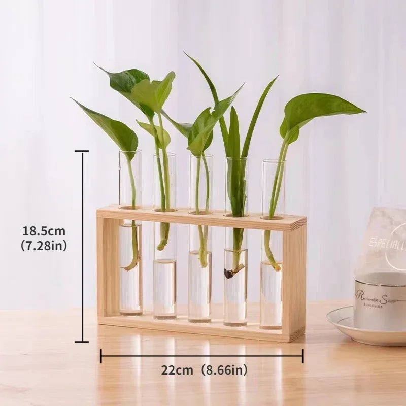 Minimalist Nordic Test Tube Glass Vase Decoration Creative Wooden Frame Hydroponic Plant Container Home Decoration Plant Shelf