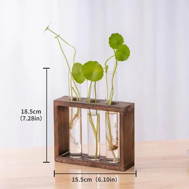 Minimalist Nordic Test Tube Glass Vase Decoration Creative Wooden Frame Hydroponic Plant Container Home Decoration Plant Shelf