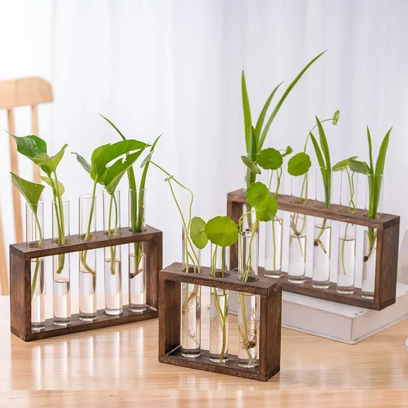 Minimalist Nordic Test Tube Glass Vase Decoration Creative Wooden Frame Hydroponic Plant Container Home Decoration Plant Shelf