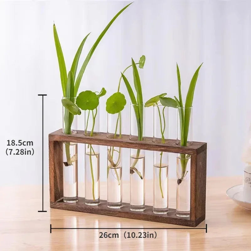 Minimalist Nordic Test Tube Glass Vase Decoration Creative Wooden Frame Hydroponic Plant Container Home Decoration Plant Shelf